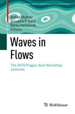 Livro Waves in Flows Sárka Necasová
