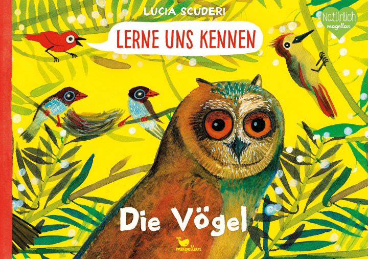 Kniha Lerne uns kennen - Die Vögel Lucia Scuderi