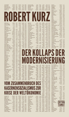 Kniha Der Kollaps der Modernisierung 