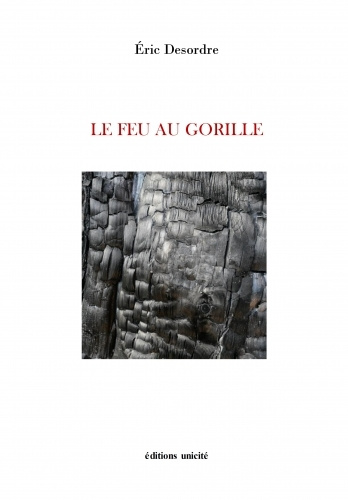 Книга Le feu au gorille Desordre