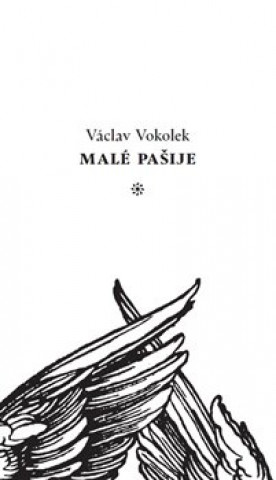 Könyv Malé pašije Václav Vokolek