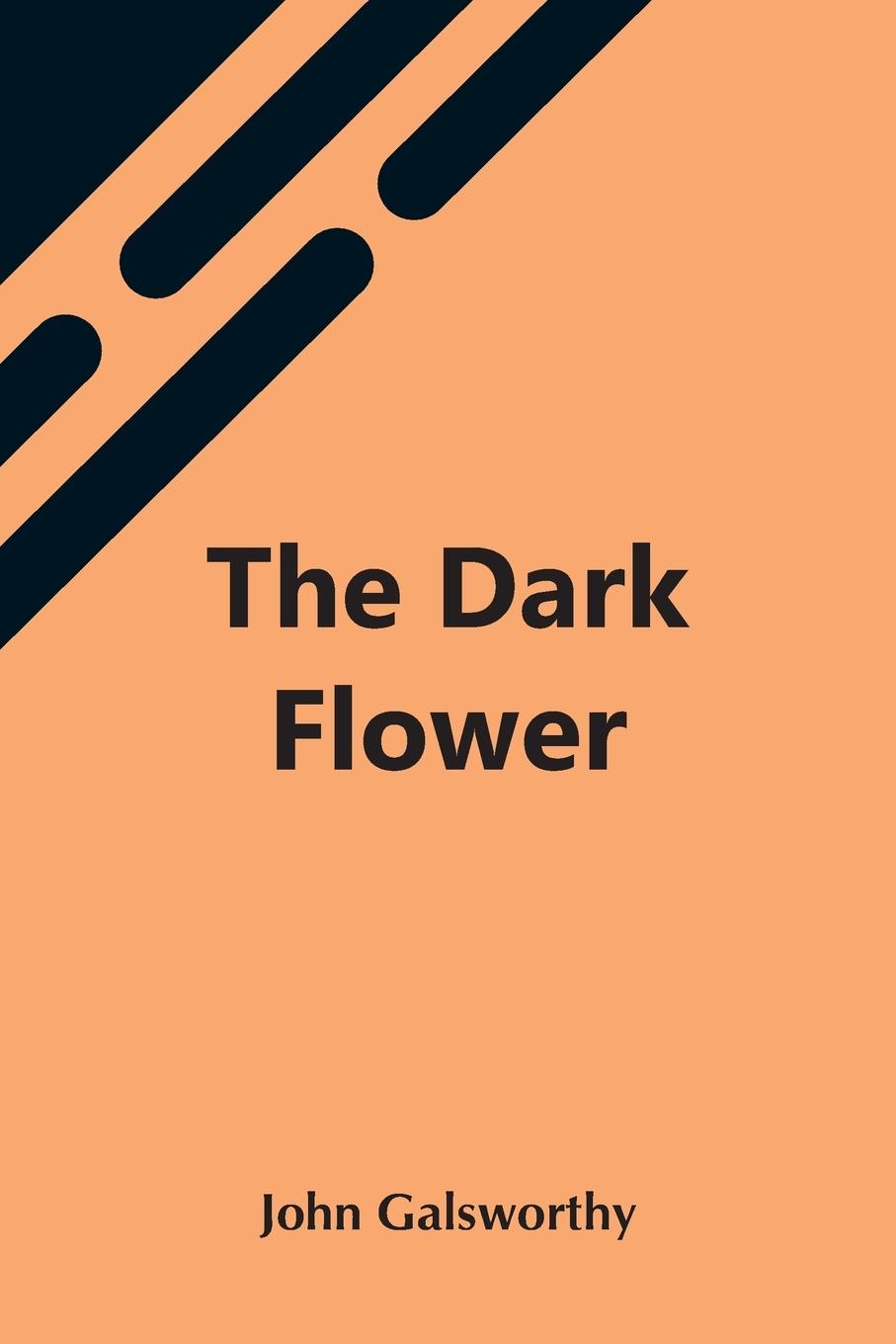 Knjiga Dark Flower John Galsworthy
