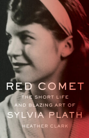 Kniha Red Comet 