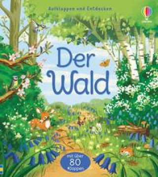 Livre Aufklappen und Entdecken: Der Wald Bao Luu