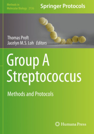 Knjiga Group A Streptococcus Jacelyn M. S. Loh
