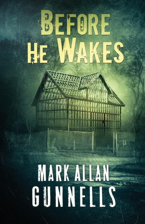Book Before He Wakes Mark Allan Gunnells