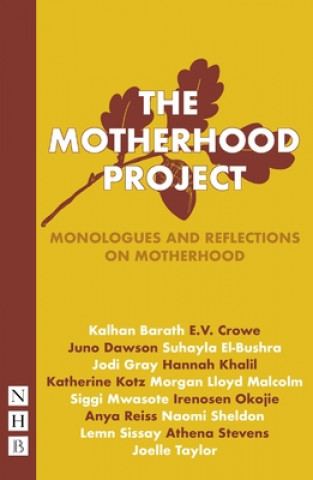 Book Motherhood Project E. V. Crowe