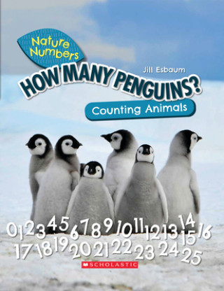 Kniha How Many Penguins? (Nature Numbers) (Library Edition) 