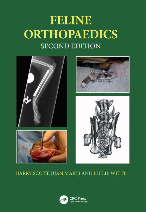 Kniha Feline Orthopaedics Scott