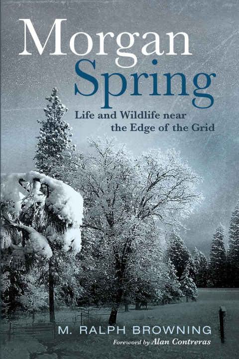 Book Morgan Spring M. Ralph Browning