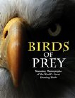 Kniha Birds of Prey Tom Jackson