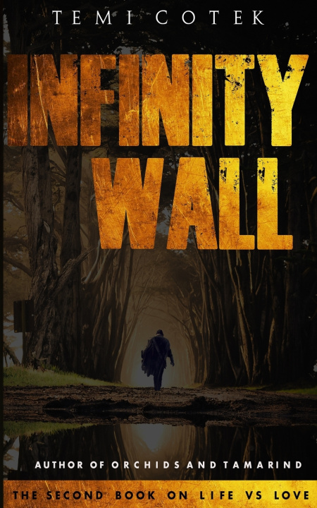 Knjiga Infinity Wall Cotek Temi Cotek