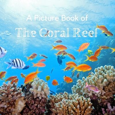 Carte Picture Book of The Coral Reef 