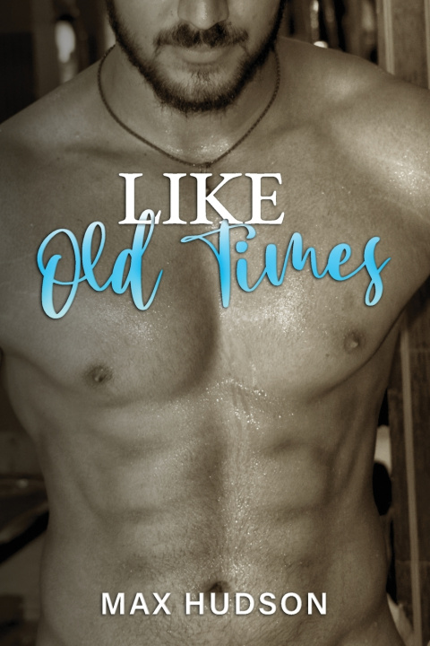 Knjiga Like Old Times Hudson Max Hudson