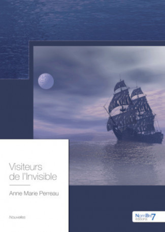 Book Visiteurs de l'Invisible Perreau