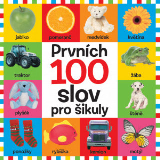 Книга Prvních 100 slov pro šikuly 