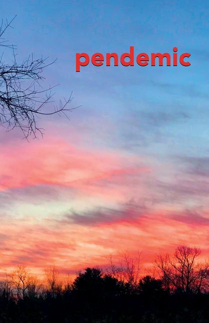 Kniha Pendemic: A Literary Magazine 