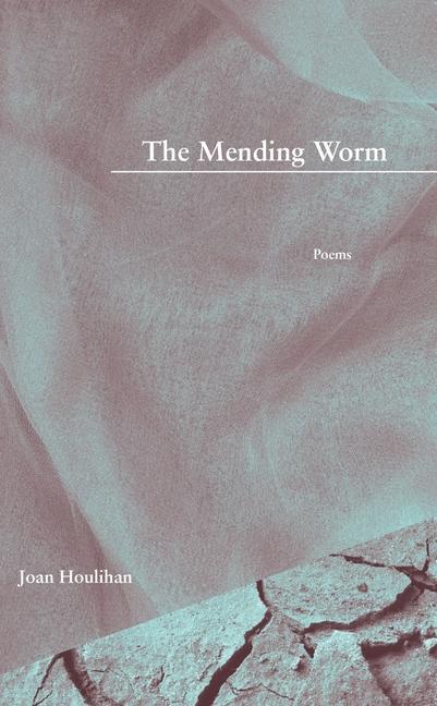 Knjiga Mending Worm Joan Houlihan
