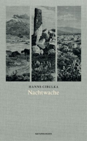 Kniha Nachtwache Sebastian Kleinschmidt