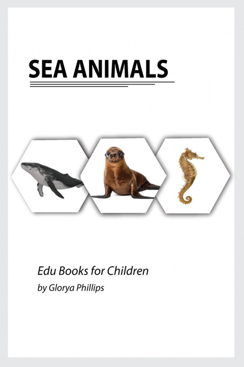 Könyv Sea Animals Glorya Phillips