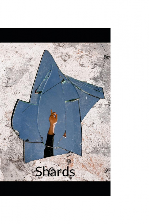 Könyv Shards Nolan Xavier McHugh