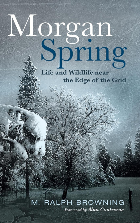 Libro Morgan Spring M. Ralph Browning