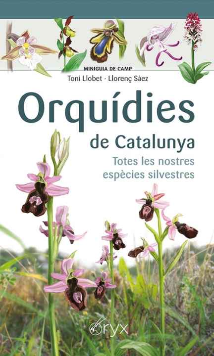 Carte Orquídies de Catalunya LLORENÇ SAEZ GOÑALONS