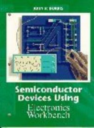 Knjiga SEMICONDUCTOR DEVICE USING ELEC BORRIS