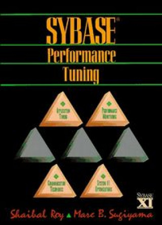 Knjiga SYBASE PERFORMANCE TUNING SHAIBAL
