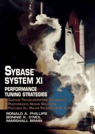 Kniha SYBASE SYSTEM IX PERFORMANCE PHILLIPS