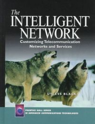 Knjiga INTELIGENT NETWORK BLACK