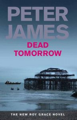 Book DEAD TOMORROW JAMES PETER