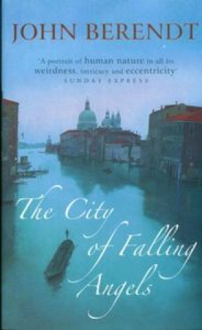 Knjiga CITY FALLING ANGELS BERENDET