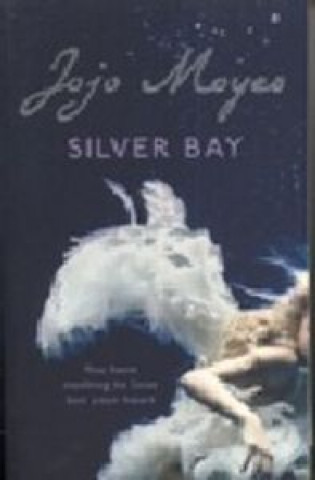Knjiga SILVER BAY MOYER JOJO