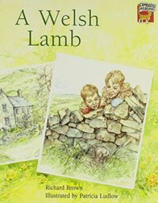 Knjiga WELSH LAMB, A Richard Brown