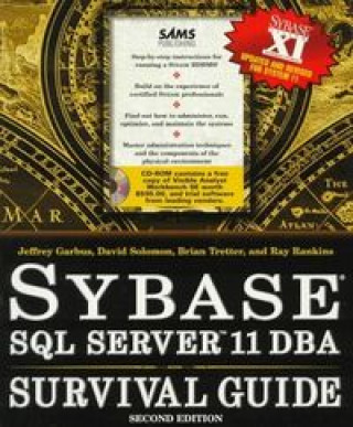 Knjiga SYBASE SQL SERVER 11 DBASE GARBUS
