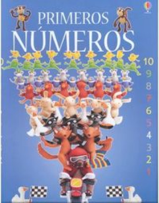Knjiga PRIMEROS NUMEROS TELA USBORNE LITCHFIELD