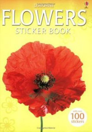 Kniha FLOWERS STICKER BOOK 