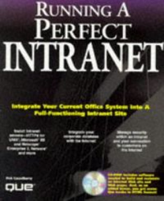 Knjiga RUNNING A PERFECT INTRANET CASSELBERRY