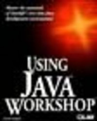 Knjiga USING JAVA WORKSHOP WALNUM