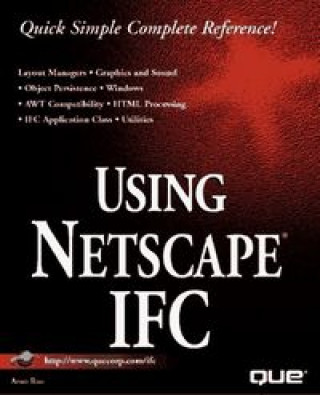 Kniha USING NETSCAPE IFC RAO