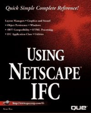Knjiga USING NETSCAPE IFC RAO