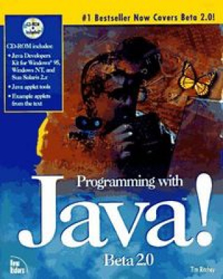 Kniha PROGRAMMING JAVA RITCHEY