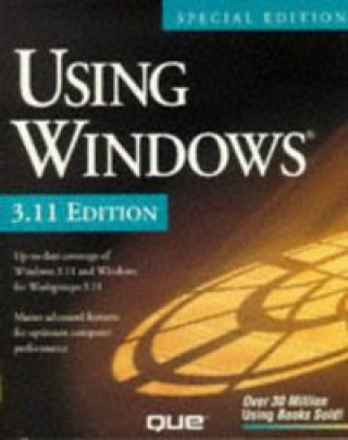 Βιβλίο USING WINDOWS 3.11 SPECIAL PERSON