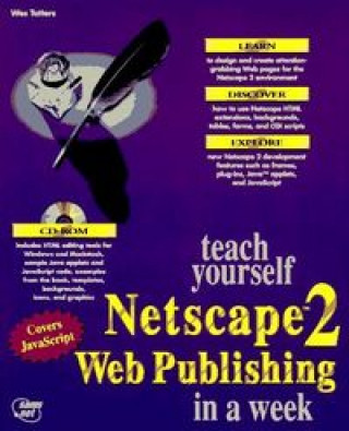 Knjiga TEACH YOURSEL NETSCAPE TATTERS