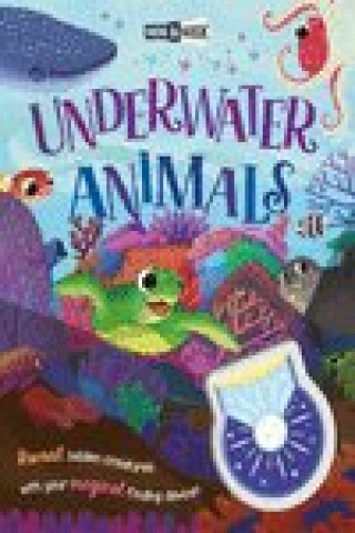 Carte HIDE-AND-SEEK UNDERWATER ANIMALS (MAGICAL LIGHT BOOK) AUTOR