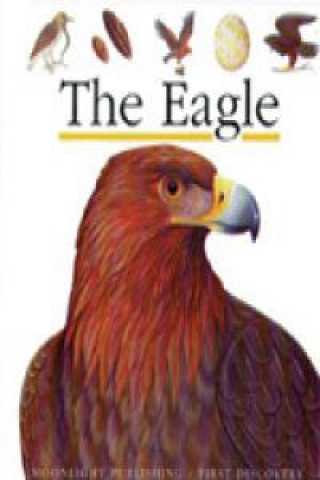 Carte THE EAGLE (FIRST DISCOVERY) 