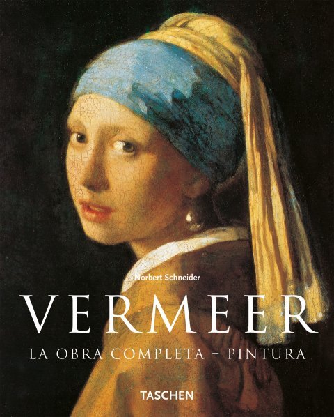 Kniha Vermeer Schneider