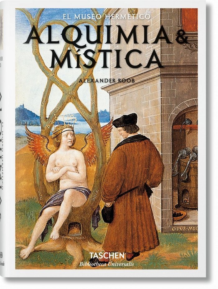 Книга Alquimia & mística Roob