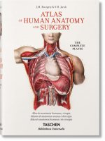 Könyv Bourgery. Atlas de anatomía humana y cirugía Le Minor